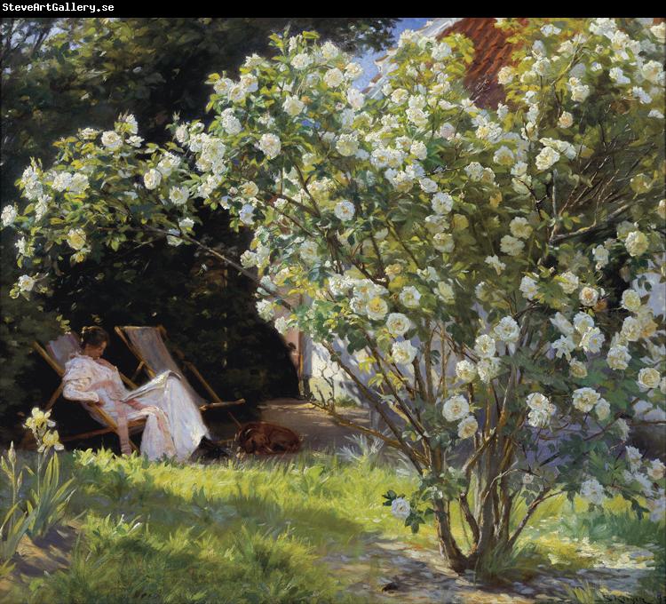 Peder Severin Kroyer Roses Garden in Skagen (nn02)